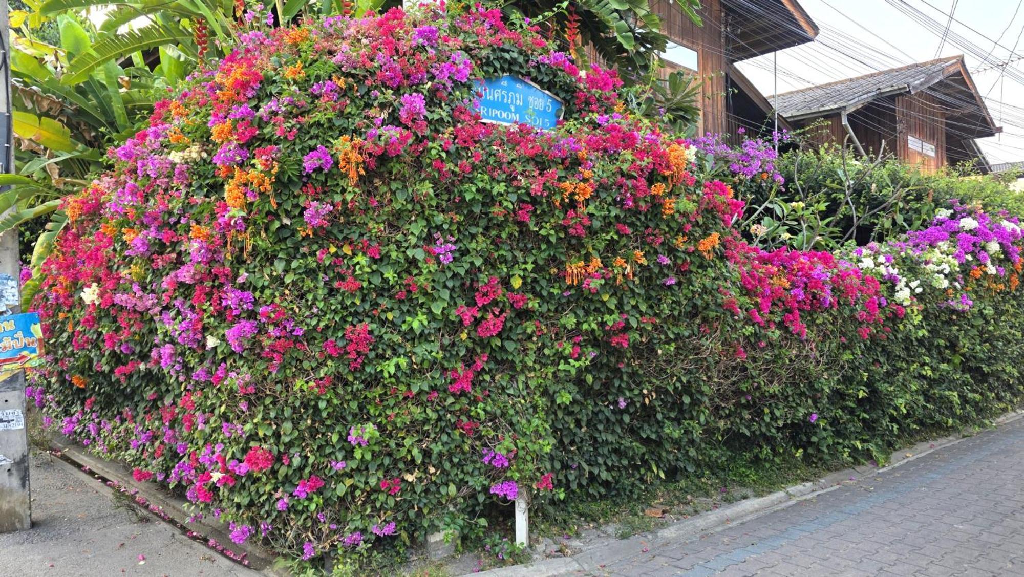 Siriwan Hostel Chiang Mai Exterior foto